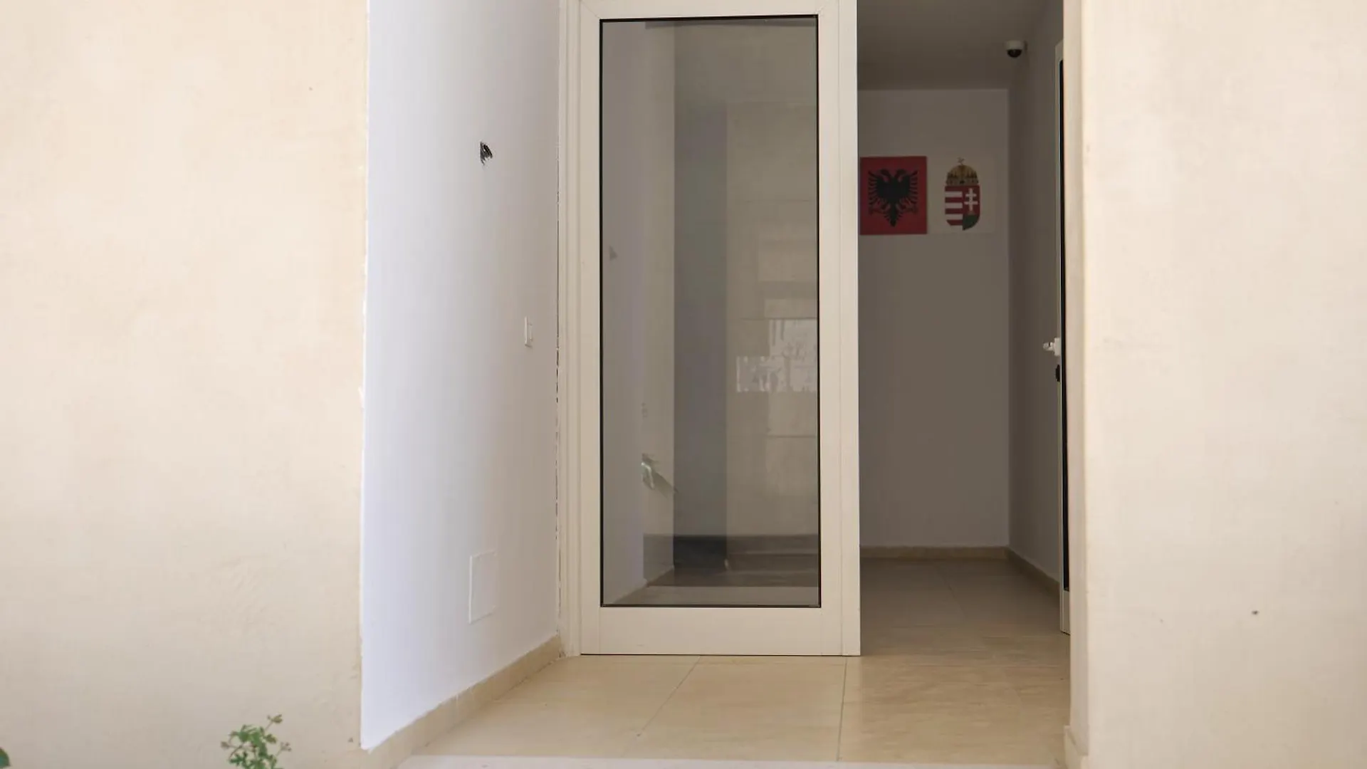 גולם Cactus Apartment